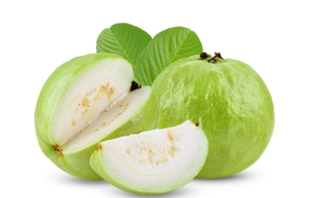 Ổi